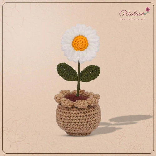 Handmade Daisy Crochet Pot by Fourloom, photo 1