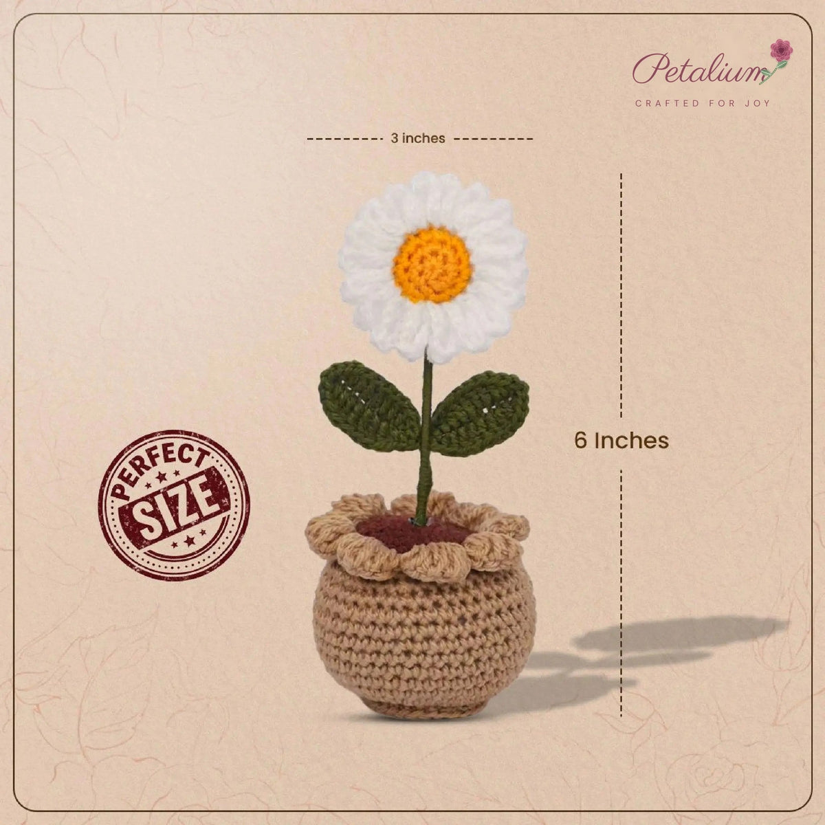 Handmade Daisy Crochet Pot by Fourloom, photo 3