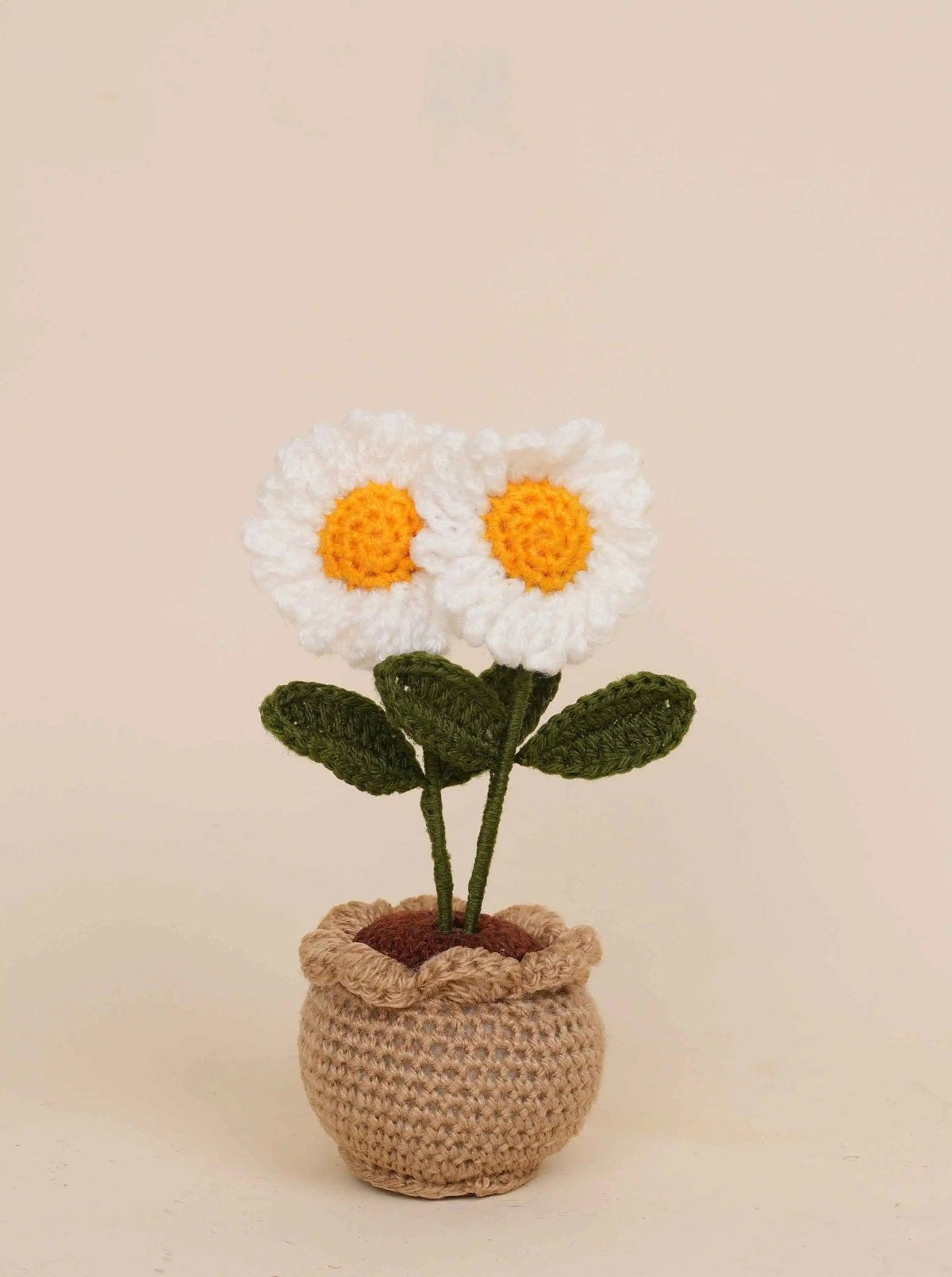 Handmade Double Daisy Crochet Pot by Fourloom, photo 1