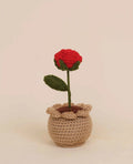 Handmade Rose Crochet Pot by Fourloom, photo 1