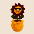 Handmade Sunny Sunglasses Crochet Pot by Fourloom, photo 1