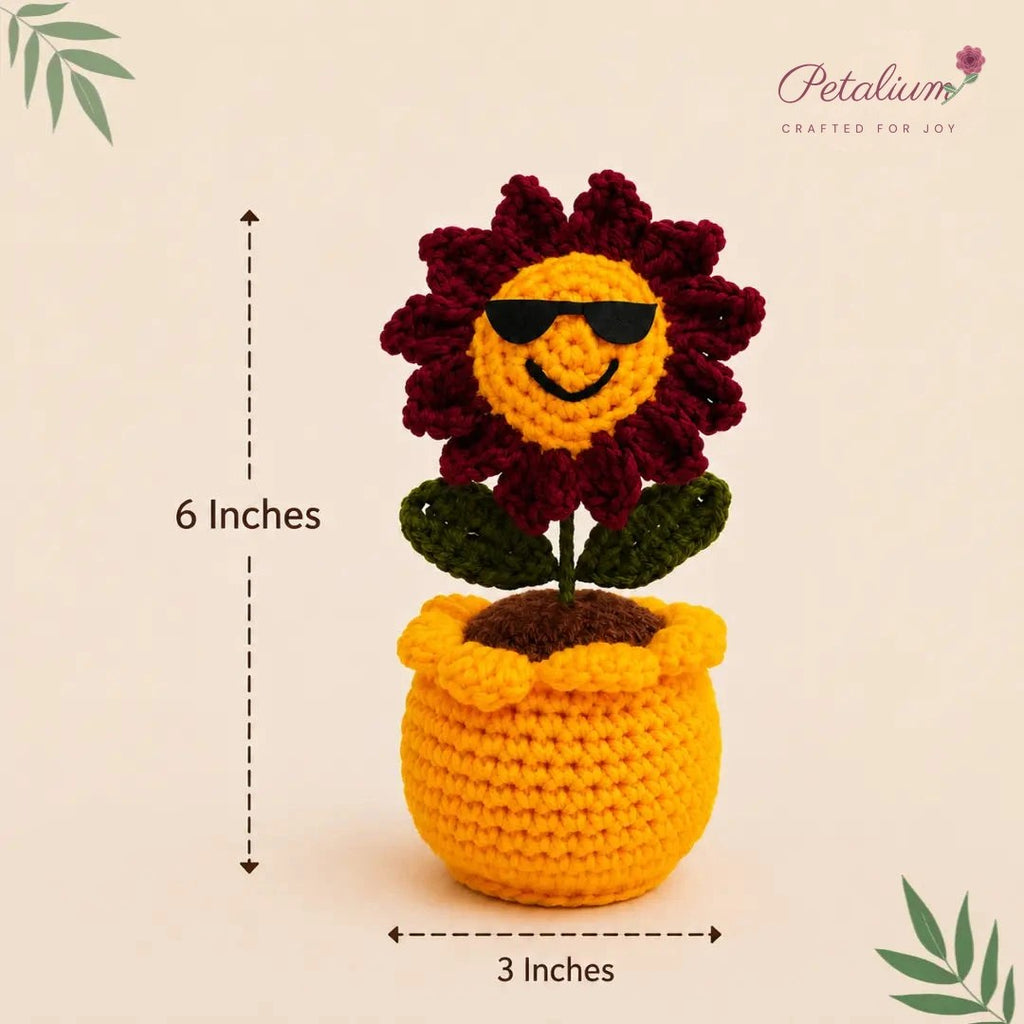 Handmade Sunny Sunglasses Crochet Pot by Fourloom, photo 6
